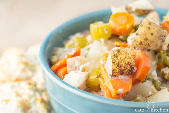 Slow Cooker Creamy Chicken Stew | Catz in the Kitchen | catzinthekitchen.com | #fall #stew #slowcooker