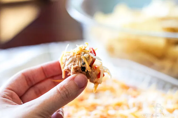 Layered Taco Dip