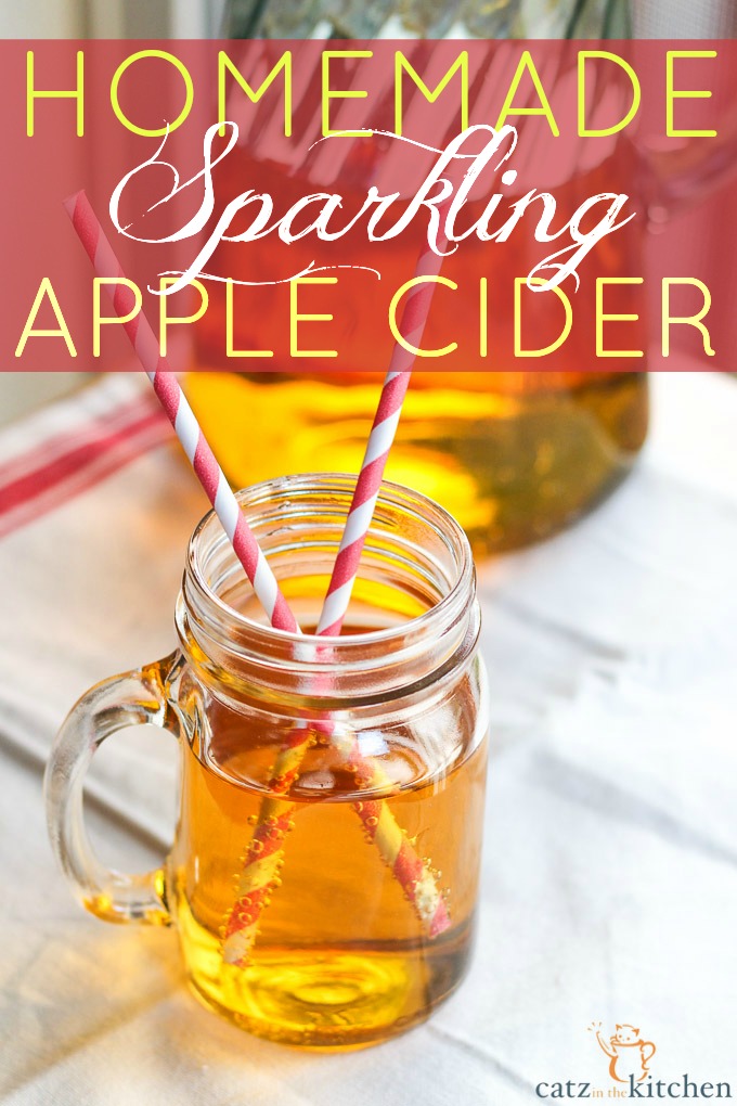 Homemade Sparkling Apple Cider | Catz in the Kitchen | catzinthekitchen.com #cider