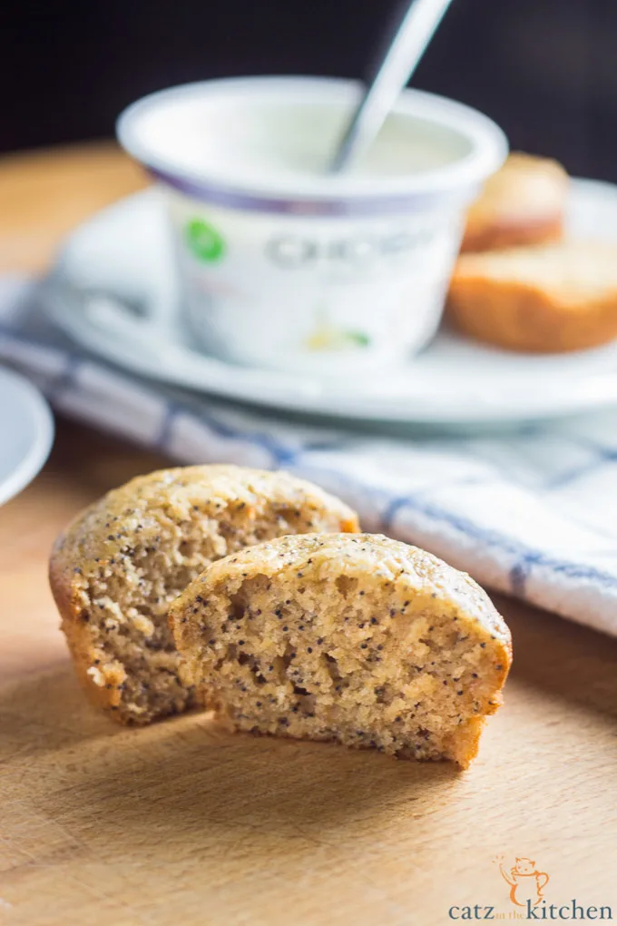 Healthier Poppyseed Muffins| Catz in the Kitchen | catzinthekitchen.com | #greekyogurt #healthy #muffins