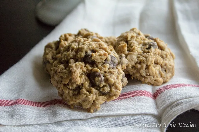 The Best Oatmeal Chocolate Chip Cookies | Catz in the Kitchen | catzinthekitchen.com | #chocolate #oatmeal #cookies