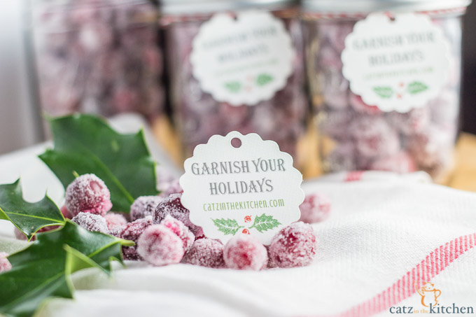 Sugared Cranberries | Catz in the Kitchen | catzinthekitchen.com #Christmas