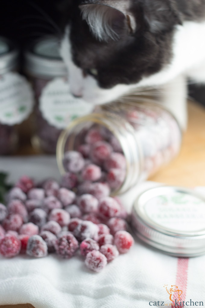Sugared Cranberries | Catz in the Kitchen | catzinthekitchen.com #Christmas