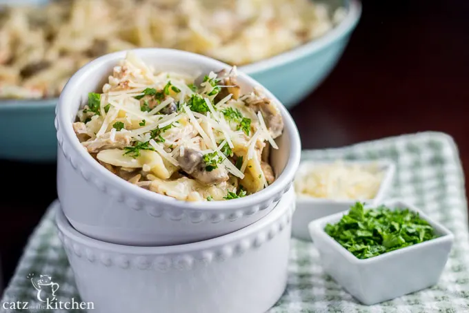 Chicken Farfalle Pasta | Catz in the Kitchen | catzinthekitchen.com #pasta