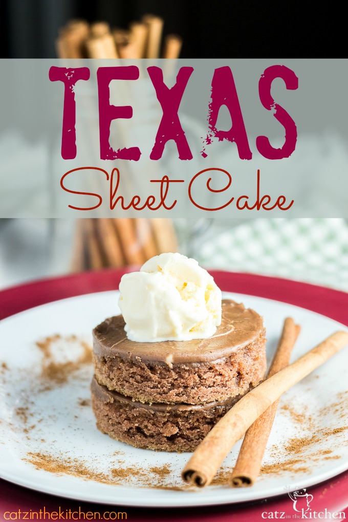 Texas Sheet Cake | Catz in the Kitchen | catzinthekitchen.com #cake
