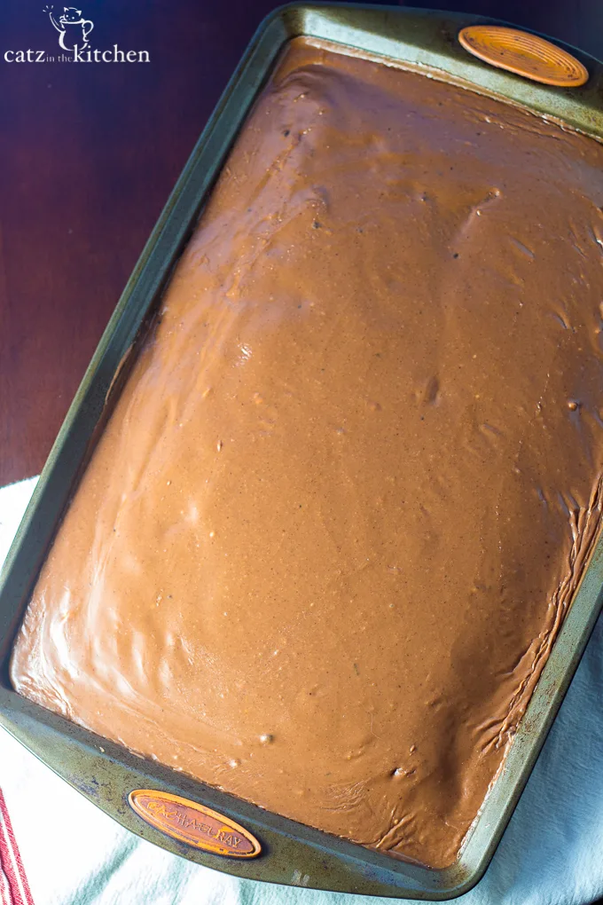 Texas Sheet Cake | Catz in the Kitchen | catzinthekitchen.com #cake