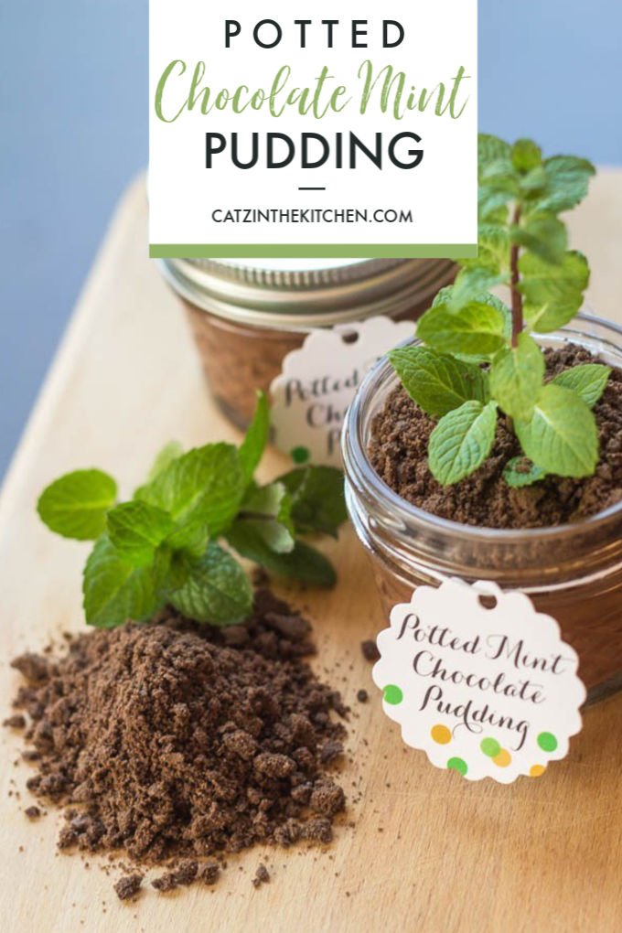 These adorable little potted chocolate mint pudding with cookie crumble "dirt" aren't just fun to look at - they're yummy, too! A great Earth Day treat!