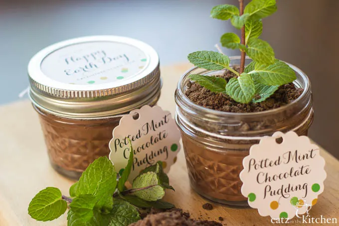 Potted Chocolate Mint Puddings | Catz in the Kitchen | catzinthekitchen.com #EarthDay