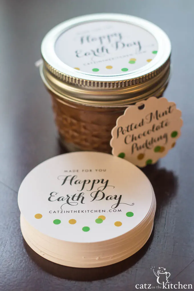 Potted Chocolate Mint Puddings | Catz in the Kitchen | catzinthekitchen.com #EarthDay