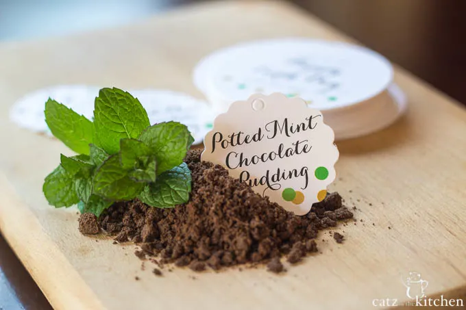 Potted Chocolate Mint Puddings | Catz in the Kitchen | catzinthekitchen.com #EarthDay