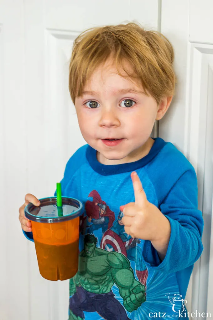 Blueberry Pomegranate Smoothies | Catz in the Kitchen | catzinthekitchen.com #smoothies