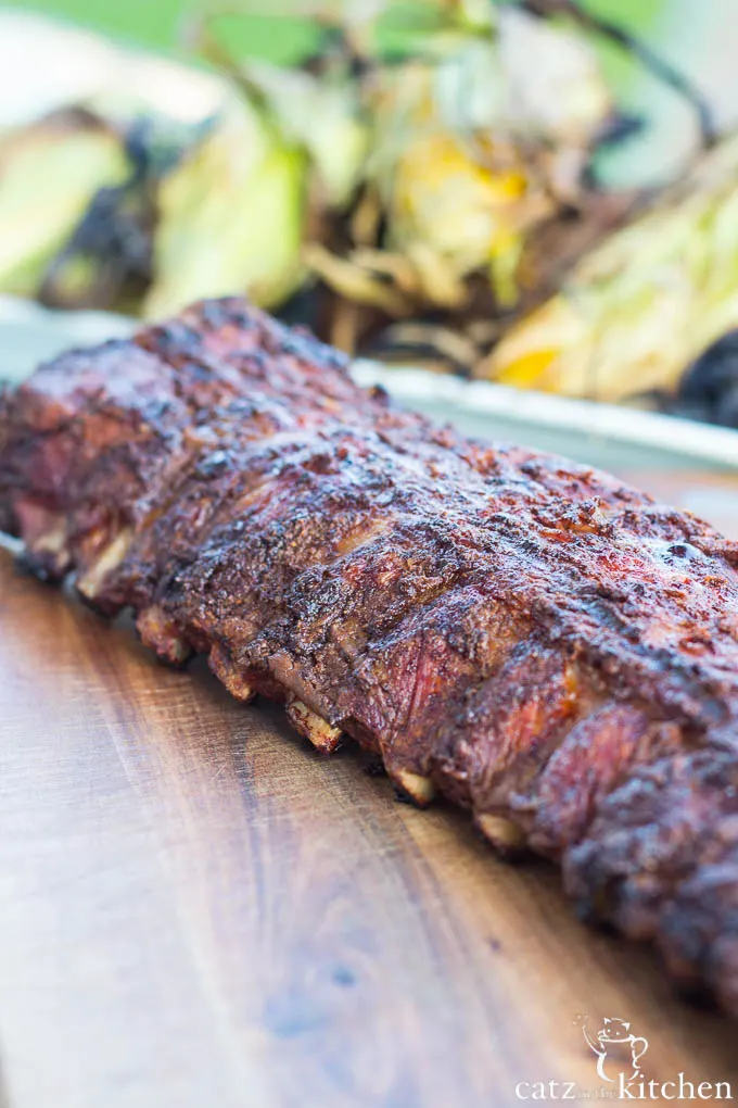 Barbecue Baby Back Ribs | Catz in the Kitchen | catzinthekitchen.com #BBQ #4thofJuly #Ribs