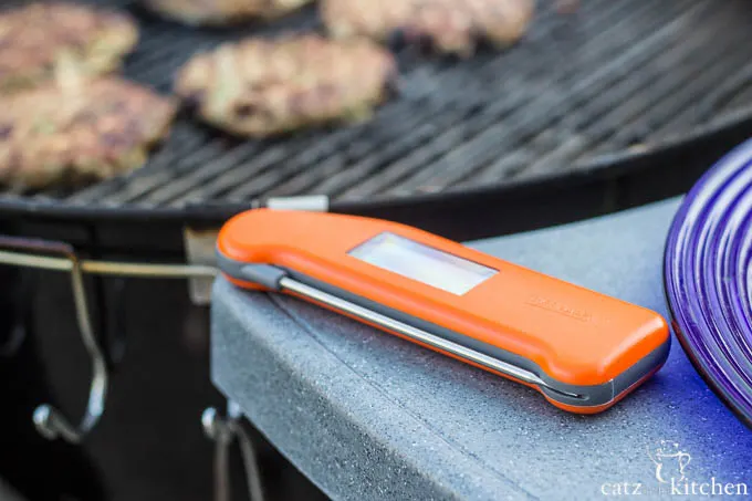 Thermoworks Thermapen One First Impressions and Review 