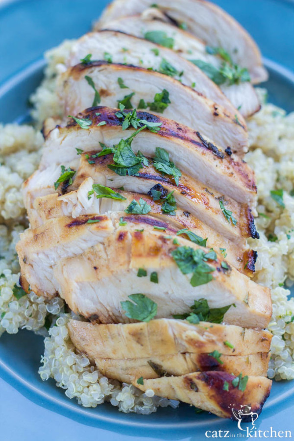 Grilled Margarita Chicken Catz in the Kitchen