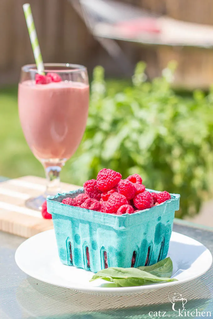 Raspberry & Basil Smoothies | Catz in the Kitchen | catzinthekitchen.com | #ORberries