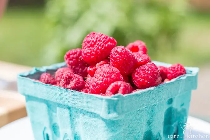 Raspberry & Basil Smoothies | Catz in the Kitchen | catzinthekitchen.com | #ORberries