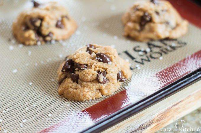 Chocolate Peanut Butter Cookies | Catz in the Kitchen | catzinthekitchen.com | #cookies #fall #glutenfree