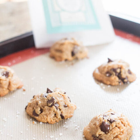 Chocolate Peanut Butter Cookies | Catz in the Kitchen | catzinthekitchen.com | #cookies #fall #pumpkin