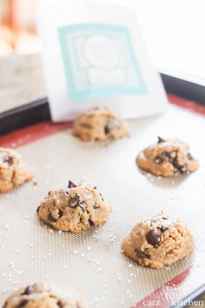 Chocolate Peanut Butter Cookies | Catz in the Kitchen | catzinthekitchen.com | #cookies #fall #glutenfree