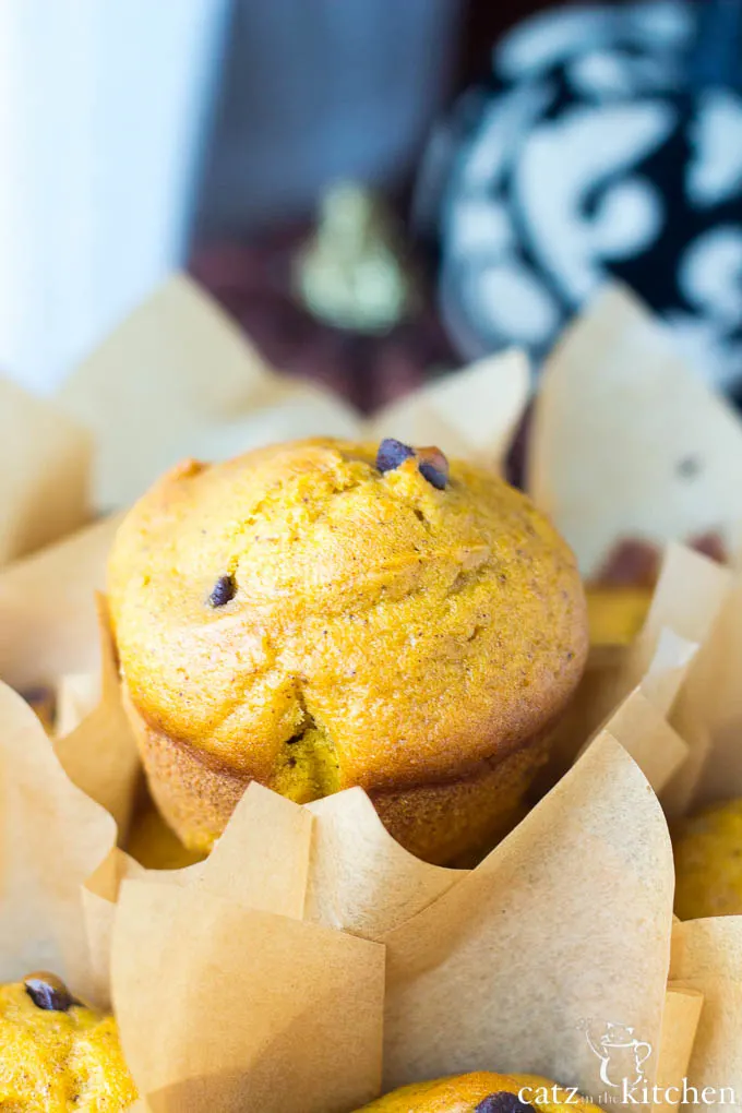 Pumpkin Chocolate Chip Muffins | Catz in the Kitchen | catzinthekitchen.com | #pumpkin