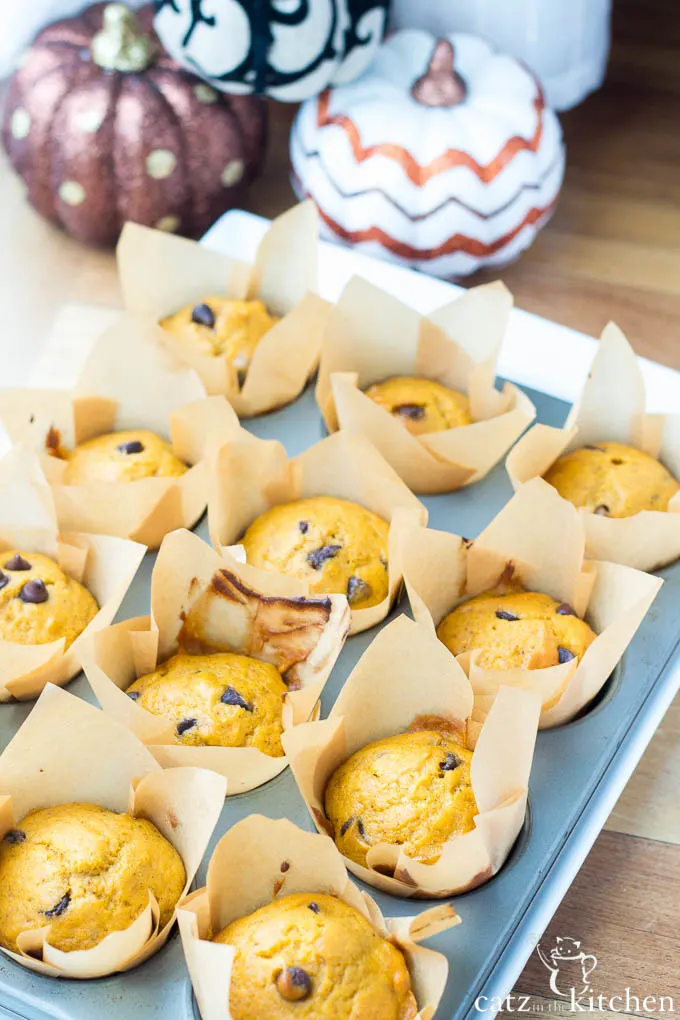 Pumpkin Chocolate Chip Muffins | Catz in the Kitchen | catzinthekitchen.com | #pumpkin