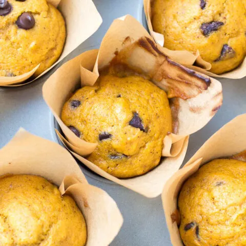 Pumpkin Chocolate Chip Muffins