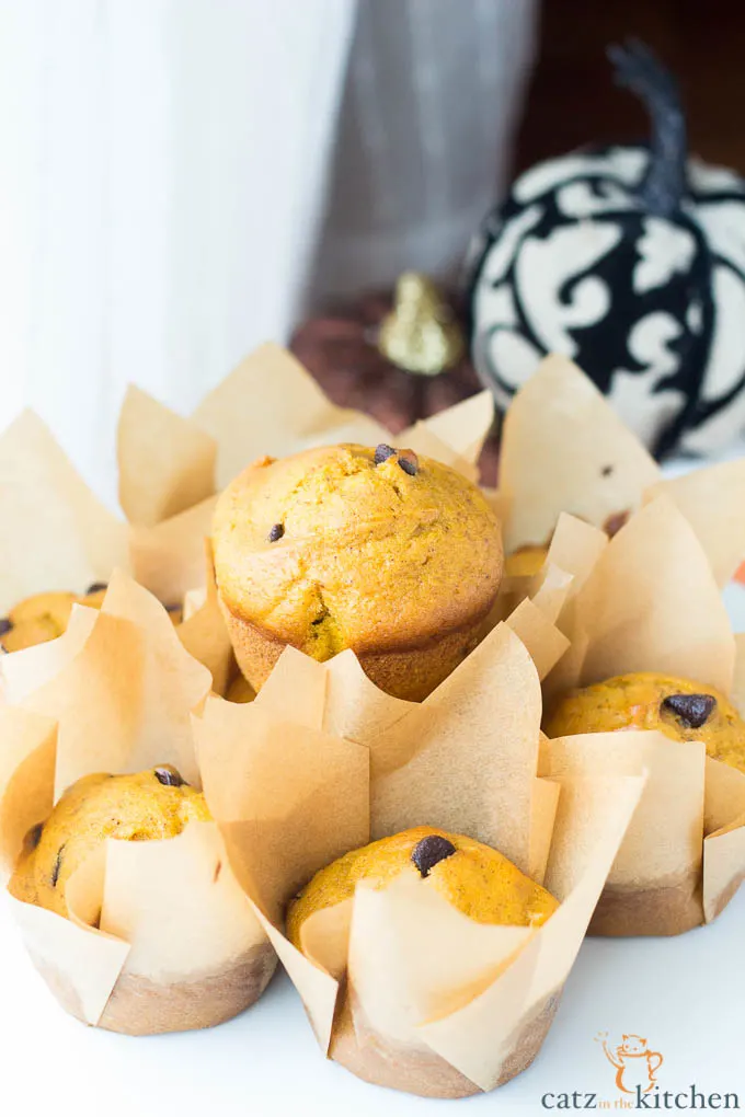 Pumpkin Chocolate Chip Muffins | Catz in the Kitchen | catzinthekitchen.com | #pumpkin