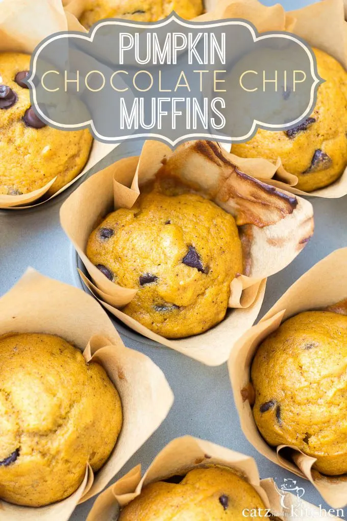 Pumpkin Chocolate Chip Muffins | Catz in the Kitchen | catzinthekitchen.com | #pumpkin