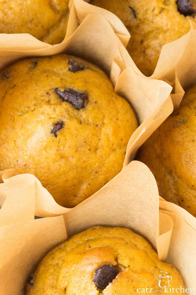 Pumpkin Chocolate Chip Muffins | Catz in the Kitchen | catzinthekitchen.com | #pumpkin