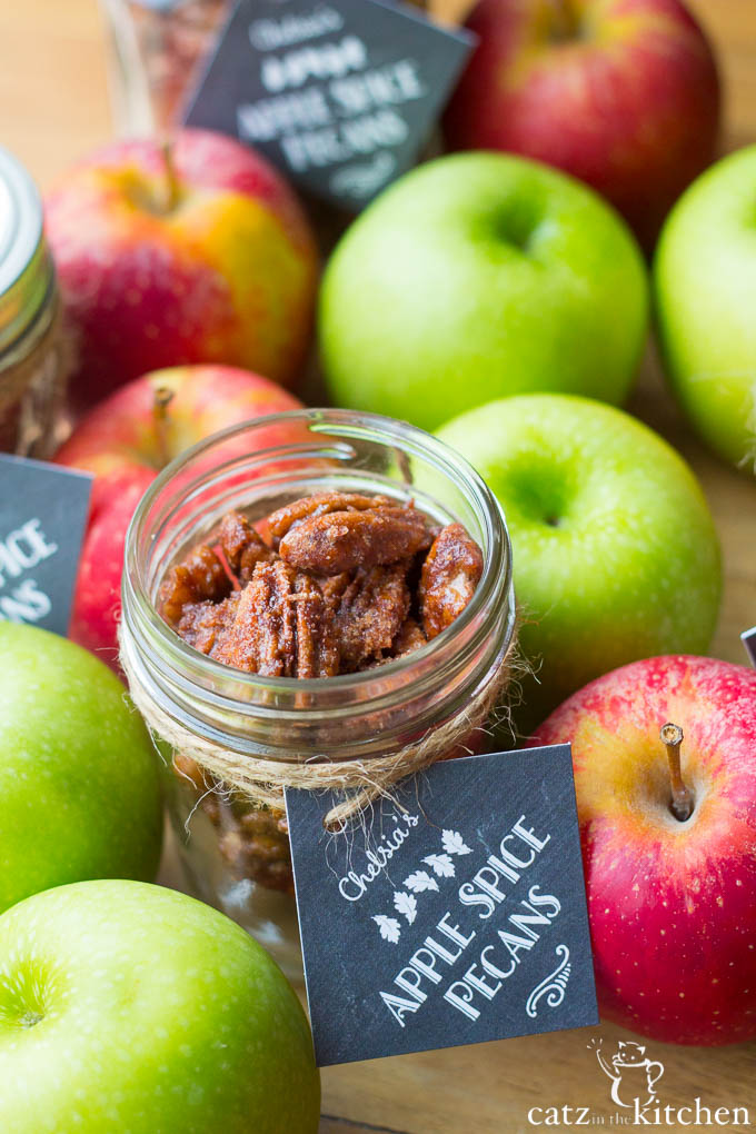 Apple Spice Pecans | Catz in the Kitchen | catzinthekitchen.com | #apple #fall #pecans