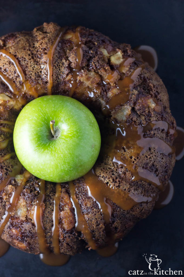 Salted Caramel Apple Cake Catz in the Kitchen