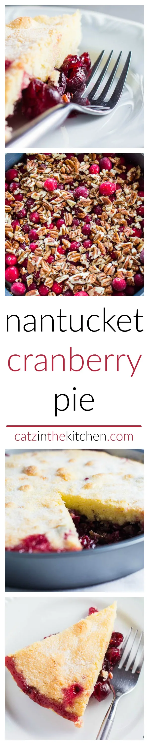 Nantucket Cranberry Pie | Catz in the Kitchen | catzinthekitchen.com | #dessert #pie #cranberries