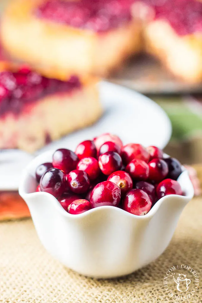 Pumpkin Cranberry Cheesecake | Catz in the Kitchen | catzinthekitchen.com | #dessert #pie #cranberries #Thanksgiving