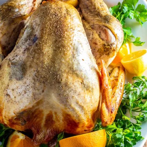 Citrus & Garlic Turkey