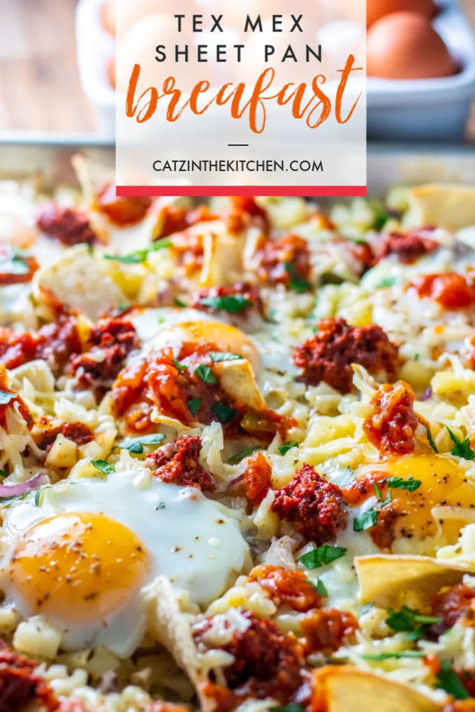 https://catzinthekitchen.com/wp-content/uploads/2020/01/Tex-Mex-Sheet-Pan-Meal-Breakfast.jpg.webp