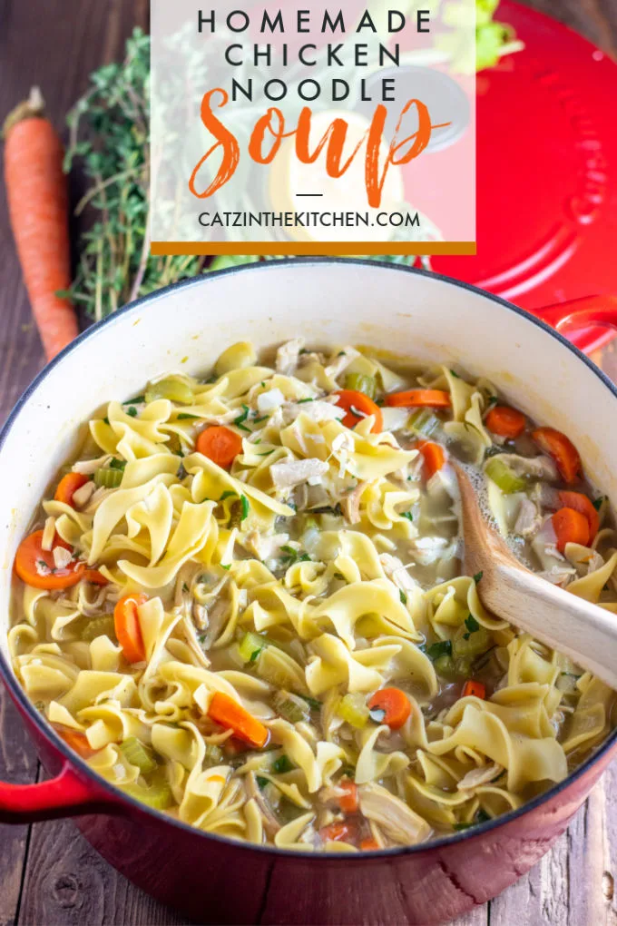 Easy Homemade Chicken Noodle Soup - COOKtheSTORY