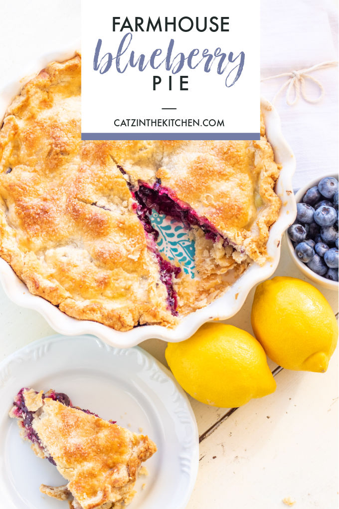 Farmhouse Blueberry Pie Recipe