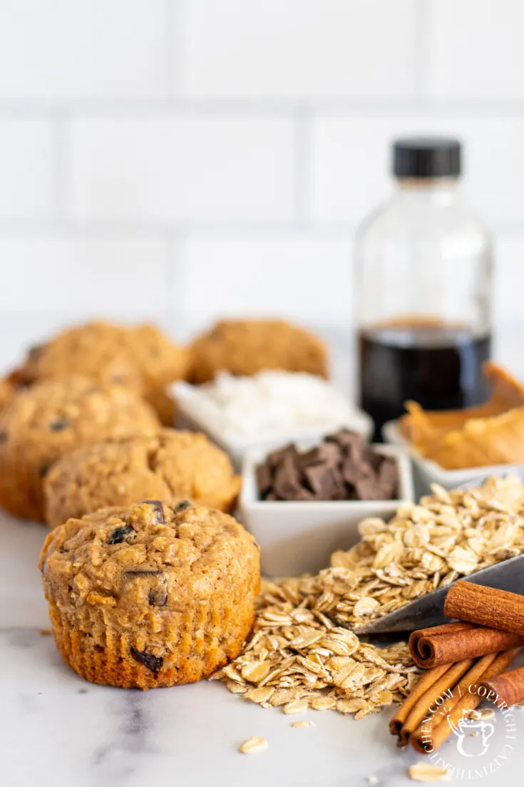 Chocolate Oat Muffins