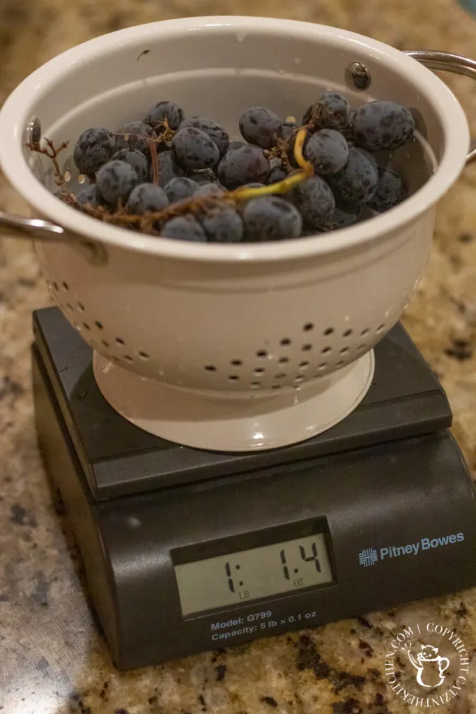 grapes on scale 