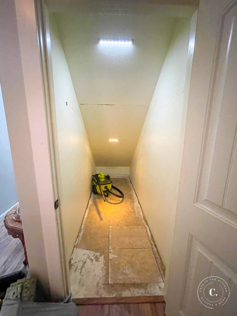 removing carpet from under the stairs coat closet 