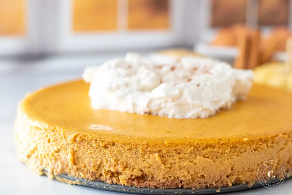 Pumpkin Cheesecake with whipped cream