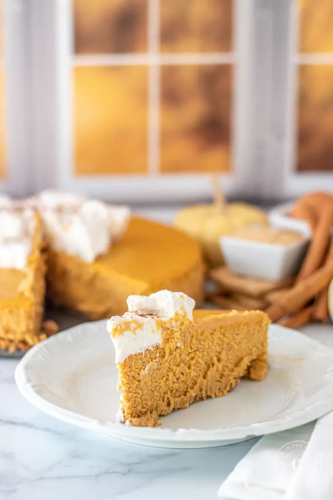 Pumpkin Cheesecake slice 