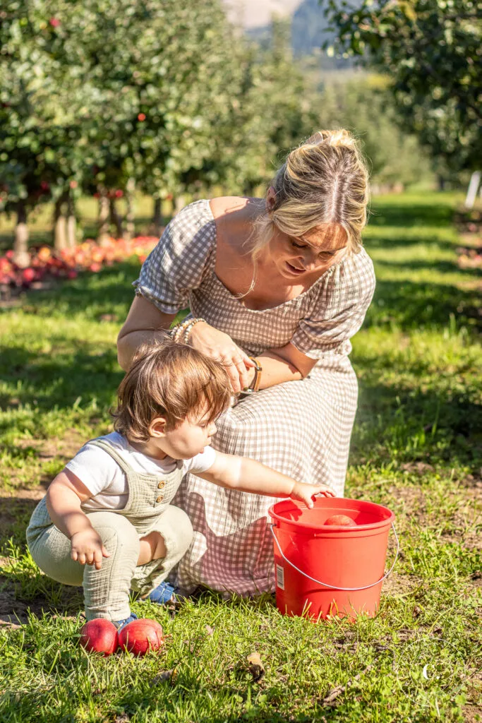 Apple Picking in the Gorge 