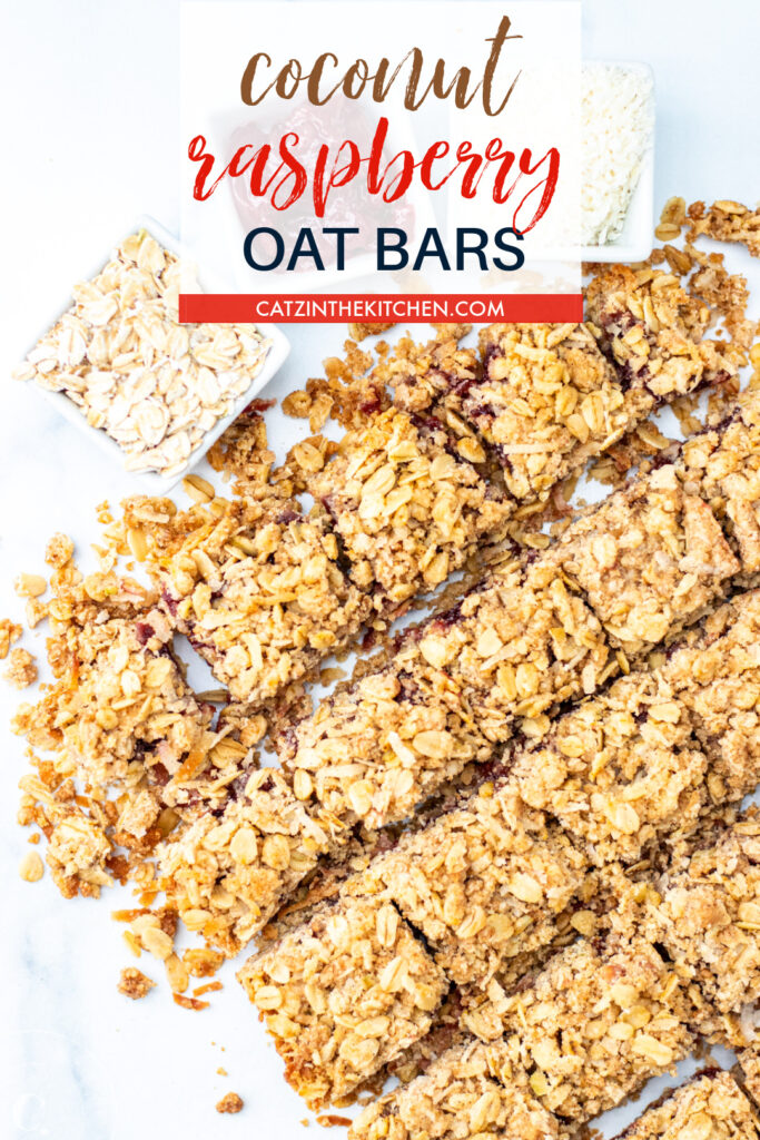 Coconut Raspberry Oat Bars