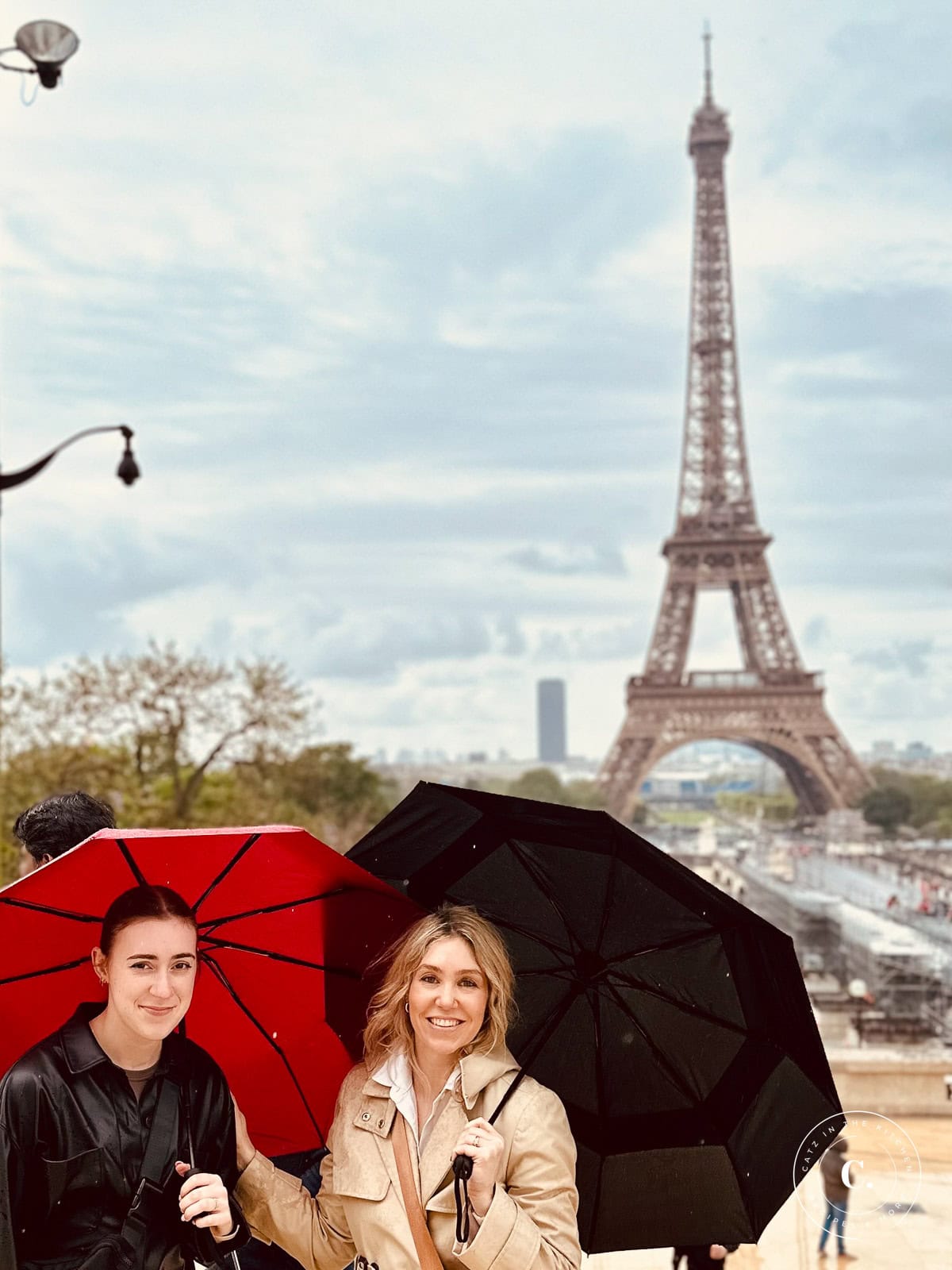 The Eiffel Tower from the Trocadero